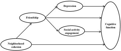 The Impact of Early Neighborhood Cohesion, and Its Mechanism, on Cognitive Function in Later Life